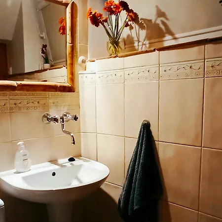 Guest house Ivet
